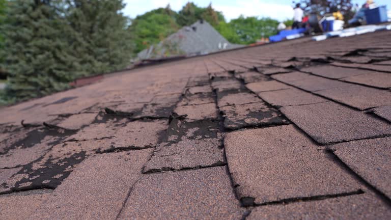 Trusted Garland, UT Roofing Service Experts